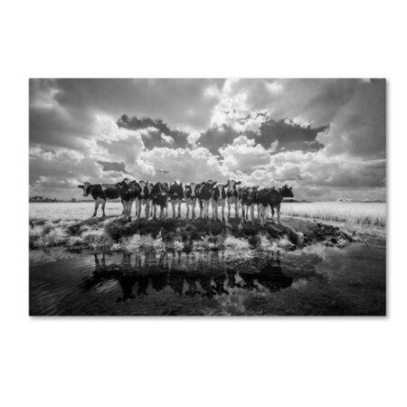 Trademark Fine Art Gert van Den 'Hi There' Canvas Art, 16x24 1X00251-C1624GG